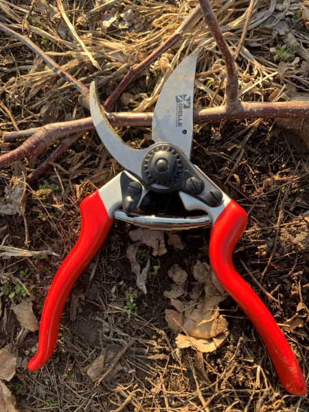 Секатор GL012